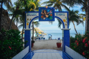 Blue Tang Inn